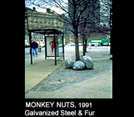 Monkey Nuts